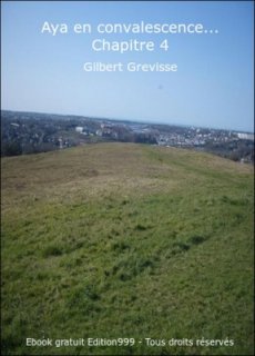 Aya en convalescence... Chapitre 4