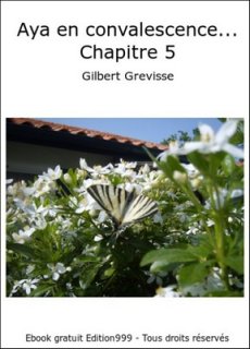 Aya en convalescence... Chapitre 5