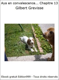 Aya en convalescence... Chapitre 13