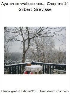 Aya en convalescence... Chapitre 14