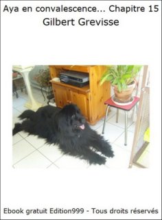 Aya en convalescence... Chapitre 15