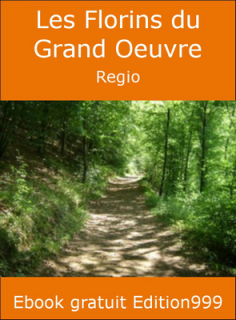 Les Florins du Grand Oeuvre 