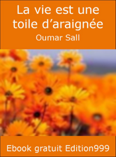 La vie est une toile d'araignée