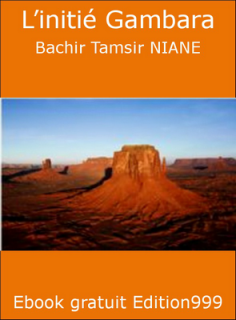 L'initié Gambara