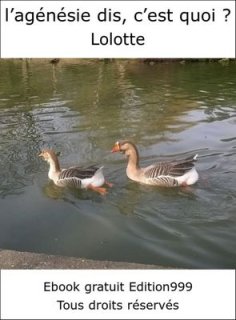 l'agénésie dis, c'est quoi ?