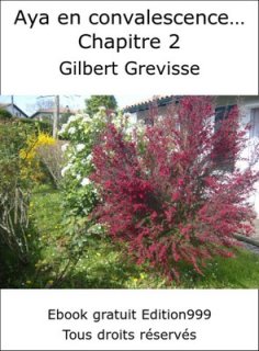 Aya en convalescence... Chapitre 2