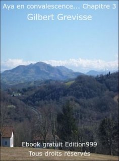 Aya en convalescence... Chapitre 3