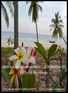 Aya en convalescence... Chapitre 42