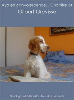 Aya en convalescence... Chapitre 34