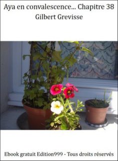 Aya en convalescence... Chapitre 38