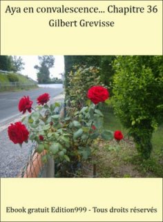 Aya en convalescence... Chapitre 36