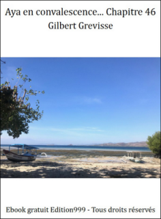 Aya en convalescence... Chapitre 46
