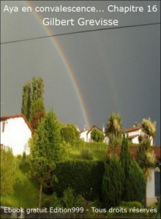 Aya en convalescence... Chapitre 16