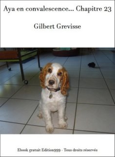 Aya en convalescence... Chapitre 23