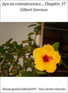 Aya en convalescence... Chapitre 37