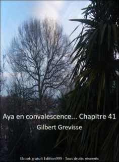 Aya en convalescence... Chapitre 41