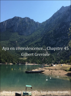 Aya en convalescence... Chapitre 45