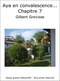Aya en convalescence... Chapitre 7