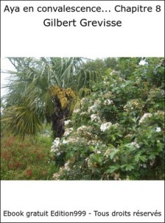 Aya en convalescence... Chapitre 8