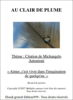 Depuis une citation de Michangelo Antonioni « Aimer, c'est vivre dans l'imagination de quelqu'un. »