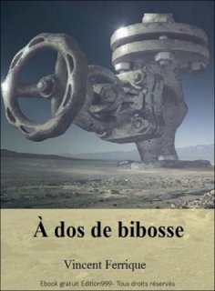 À dos de bibosse