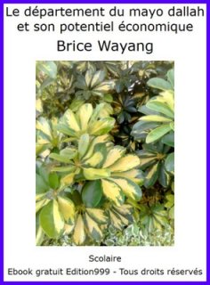 Le département du mayo dallah 