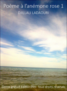 Poème à l'anémone rose 1