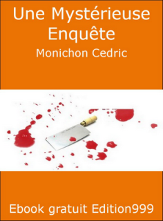 Une Mystérieuse Enquête