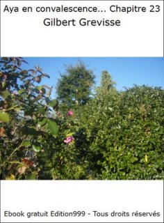 Aya en convalescence... Chapitre 22