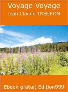 Voyage Voyage