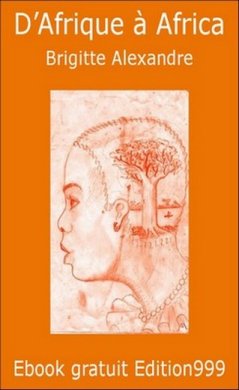 Couverture du livre D'Afrique à Africa