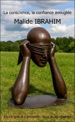 Couverture du livre La conscience, la confiance aveuglée