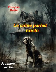 Couverture de Le crime parfait existe