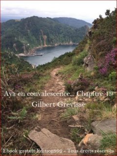 Aya en convalescence... Chapitre 19