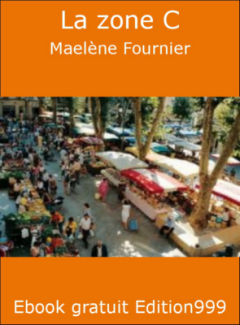 Couverture de La zone C