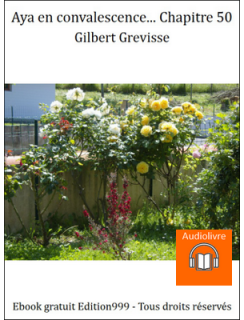 Aya en convalescence... Chapitre 50