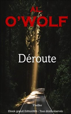 Couverture du livre Déroute