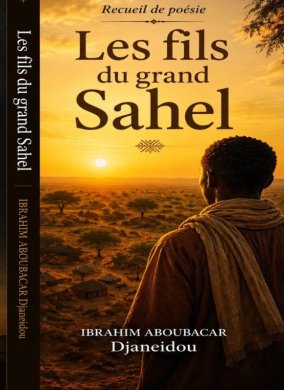 Couverture du livre Les fils du grand Sahel