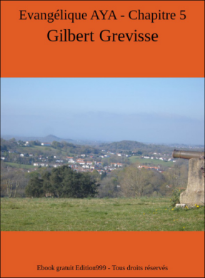 Couverture du livre Evangélique AYA - Chapitre 5