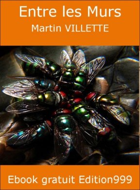 Couverture du livre Entre les murs
