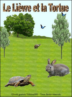 Le Lievre Et La Tortue Ebook Gamra