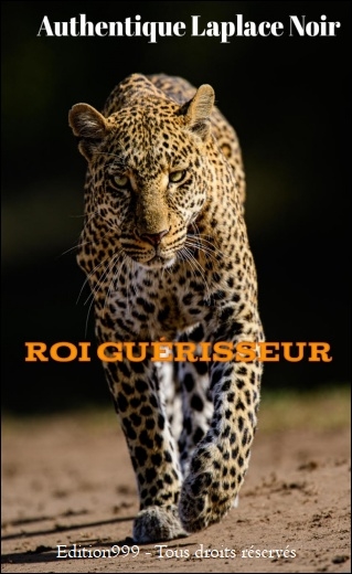 ROI GUERISSEUR