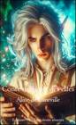 Couverture — Conte magique des elfes 